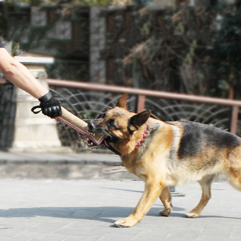 Biting Dog Training Professional Working Dog - omaiii